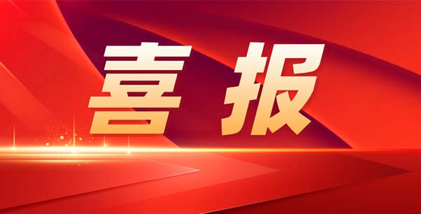 喜報(bào)！熱烈祝賀我司榮獲江蘇省“專精特新”企業(yè)稱號(hào)